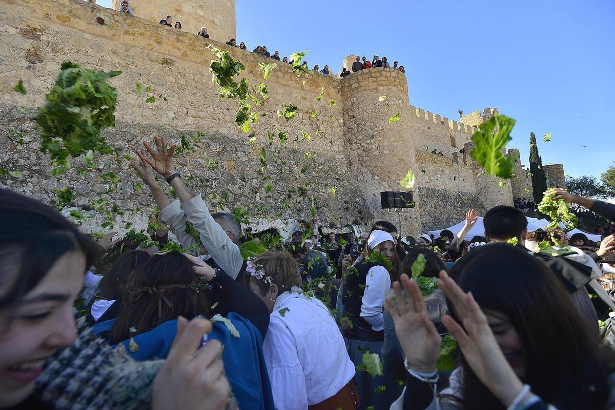 Lechugas al cielo para una batalla campal en Villena