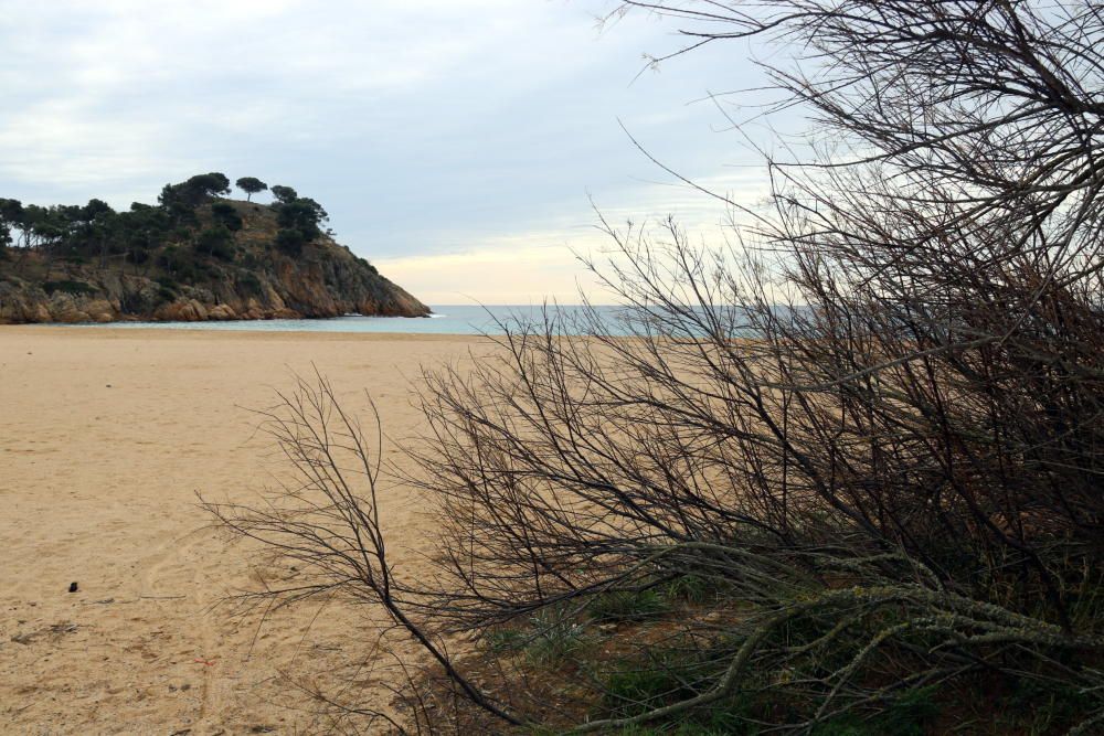 Comencen els treballs per preservar l'entorn de la platja de Castell