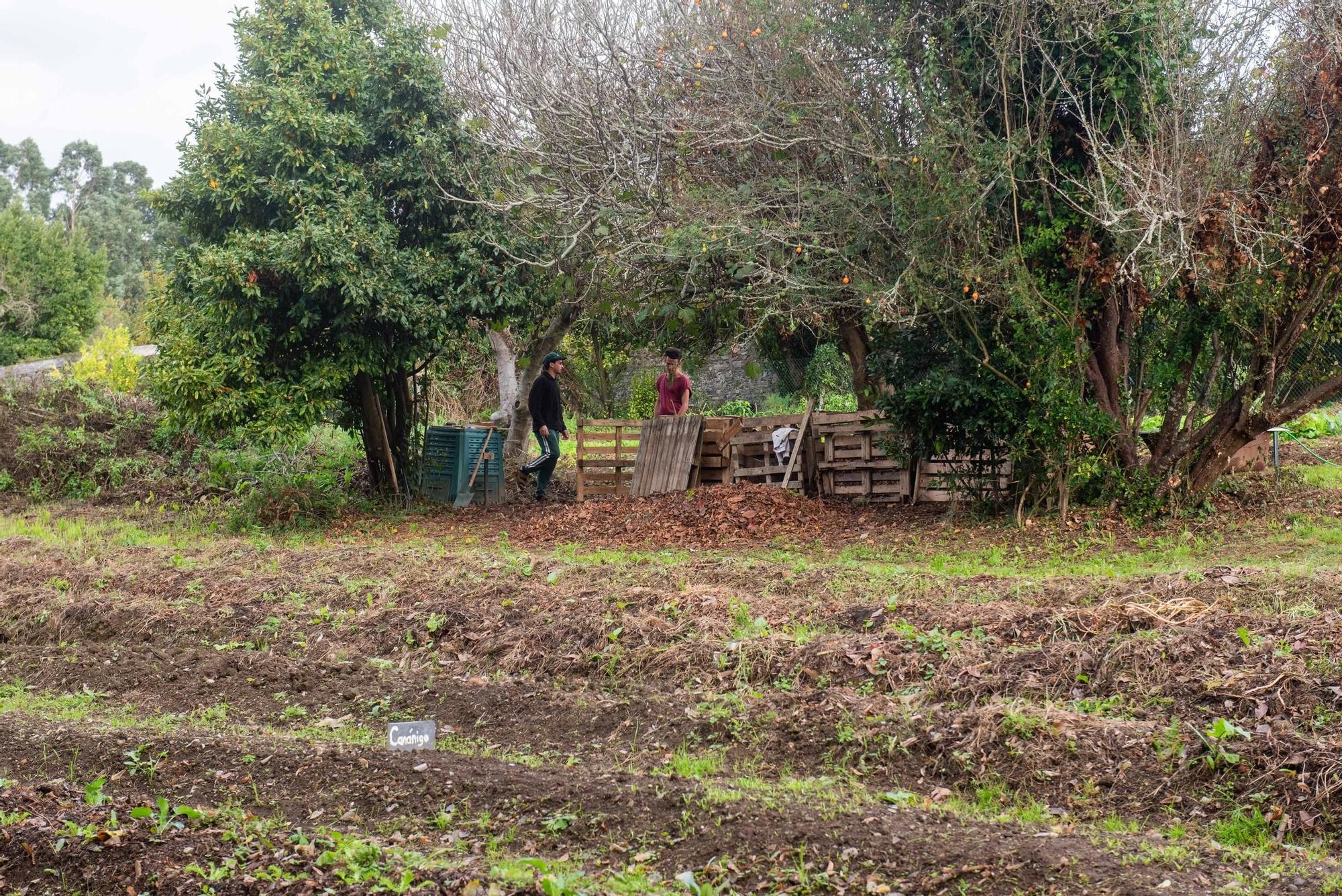 Así es el Pazo Illobre, en Betanzos