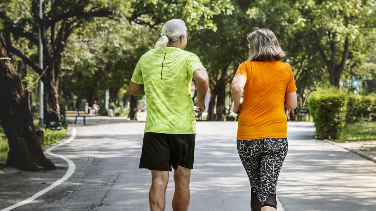Jubilados haciendo deporte en un parque