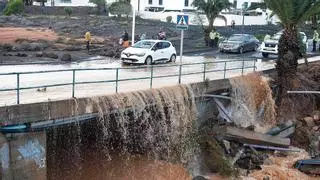 Tierra ruin no se la lleva el barranco