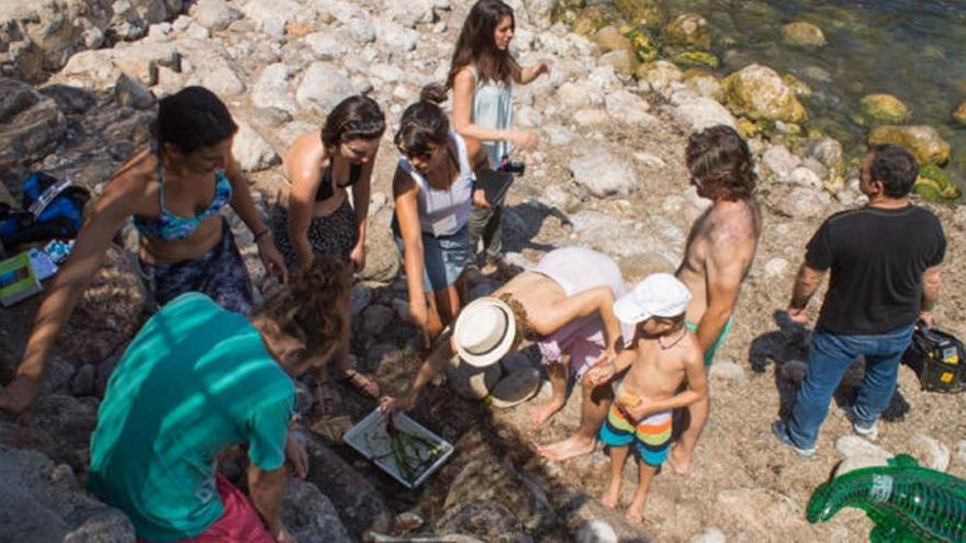 Imagen de la edición anterior del Posidonia Festival Mallorca.