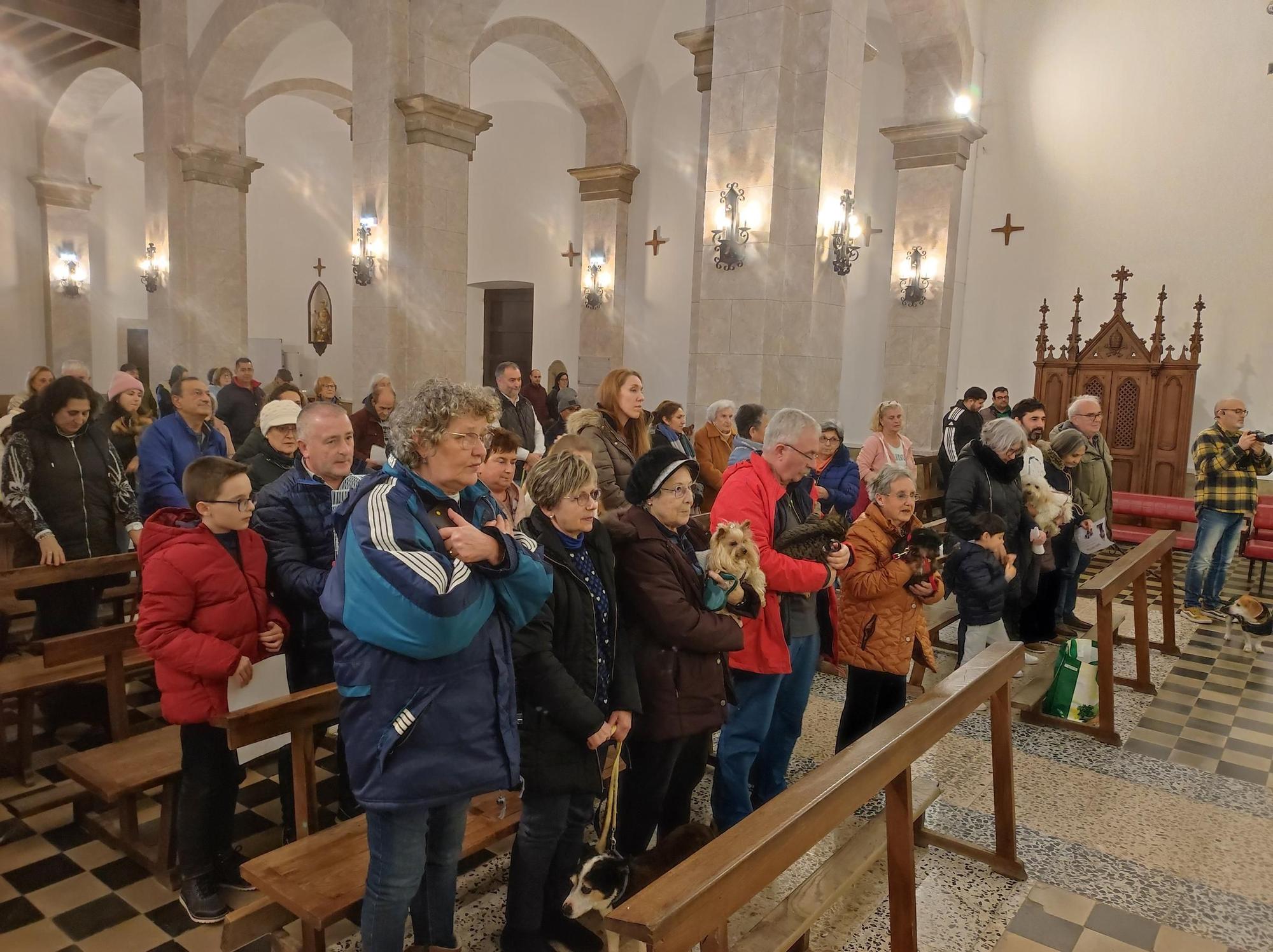 En imágenes: Así fue la bendición de mascotas por San Antón, en Tapia