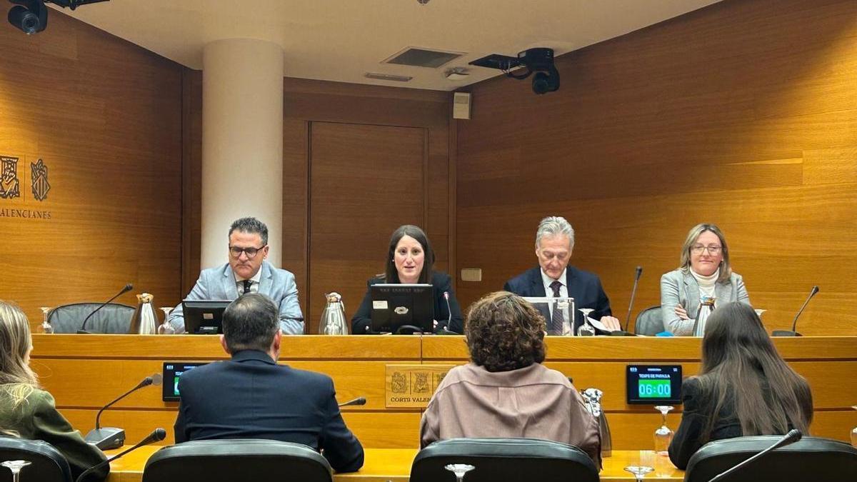 Así han sido los momentos de tensión en el pleno del Ayuntamiento de Alicante por la polémica de las viviendas protegidas