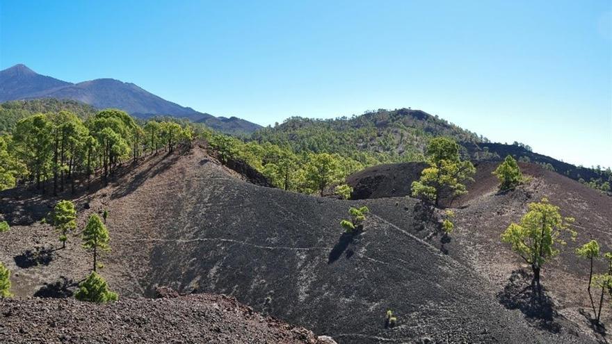 Columbus Recorded First Documented Tenerife Eruption in 1492