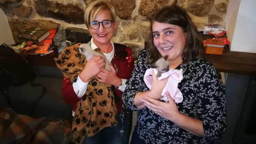 Coral Ríos y Ariana Romero (Colonias Canguesas) con gatos recogidos tras el atropello de su madre.