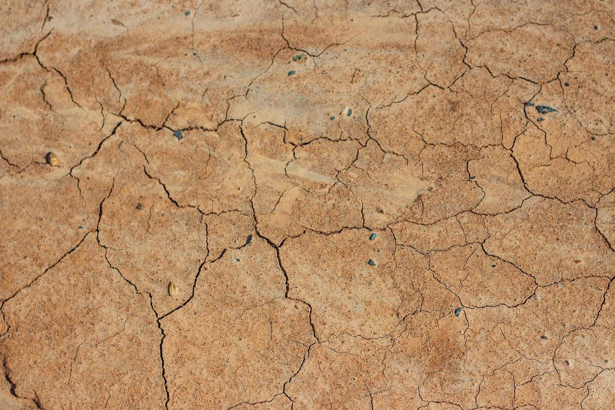 Las sequías son cada vez más frecuentes, tanto en España como en todo el planeta.