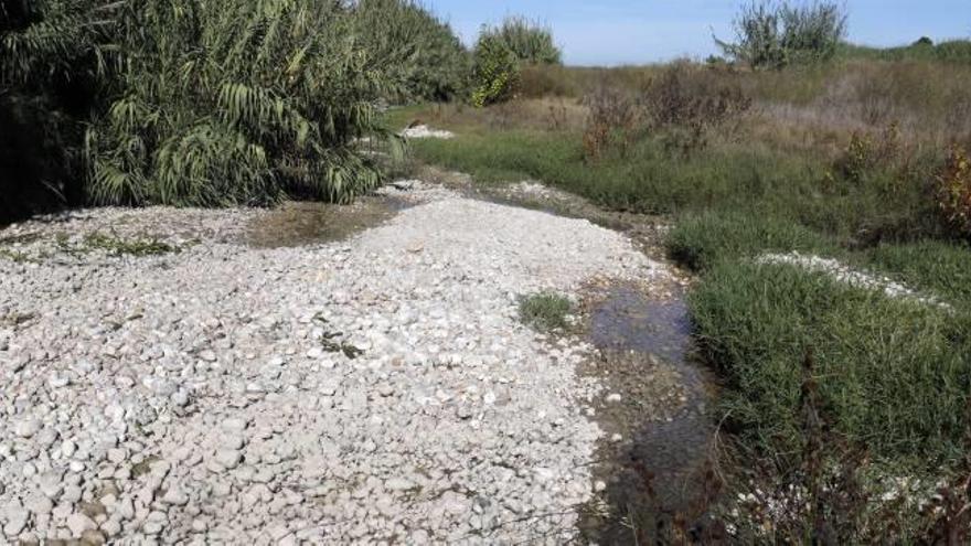 El agua no discurre y se estanca en varias zonas.