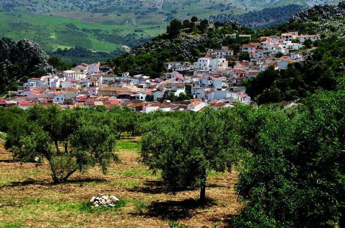 Montecorto, el pueblo de la Serranía de Ronda que celebra este sábado las II Jornadas Gastronómicas del Espárrago Silvestre y la Tagarnina