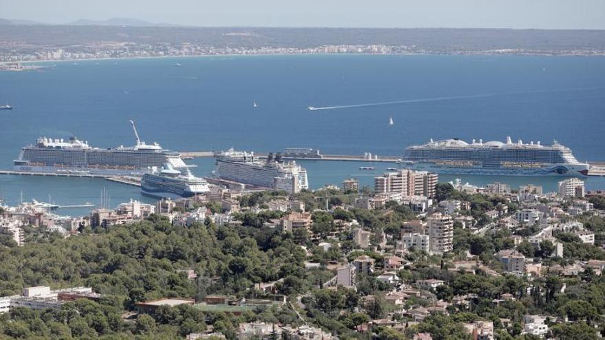 Cruceros atracados en el puerto de Palma el pasado agosto. | MANU MIELNIEZUK