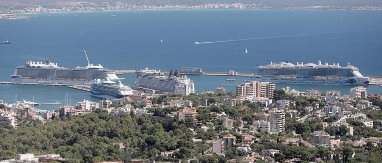 Cruceros atracados en el puerto de Palma el pasado agosto. | MANU MIELNIEZUK