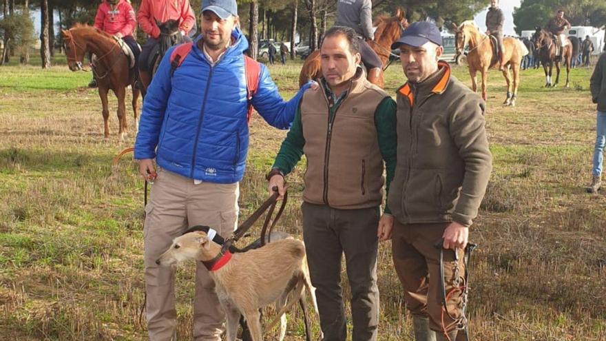 El enganche de la collera entre La Guareña y La Perrita. | |  ANGEL HINIESTA