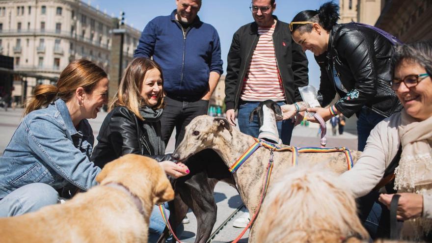 Zaragoza en Común reclama una ciudad que proteja y se adapte a los animales