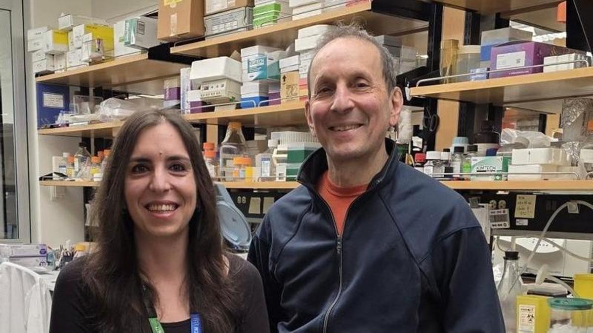 Una investigación revela cómo fármacos como el Ozempic protegen el hígado más allá de la pérdida de peso