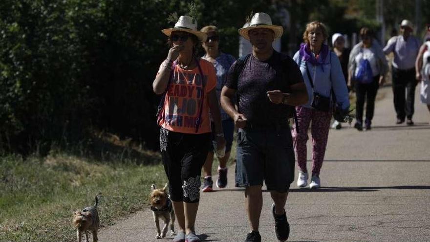 Miles de romeros arropan a la Concha hasta La Hiniesta