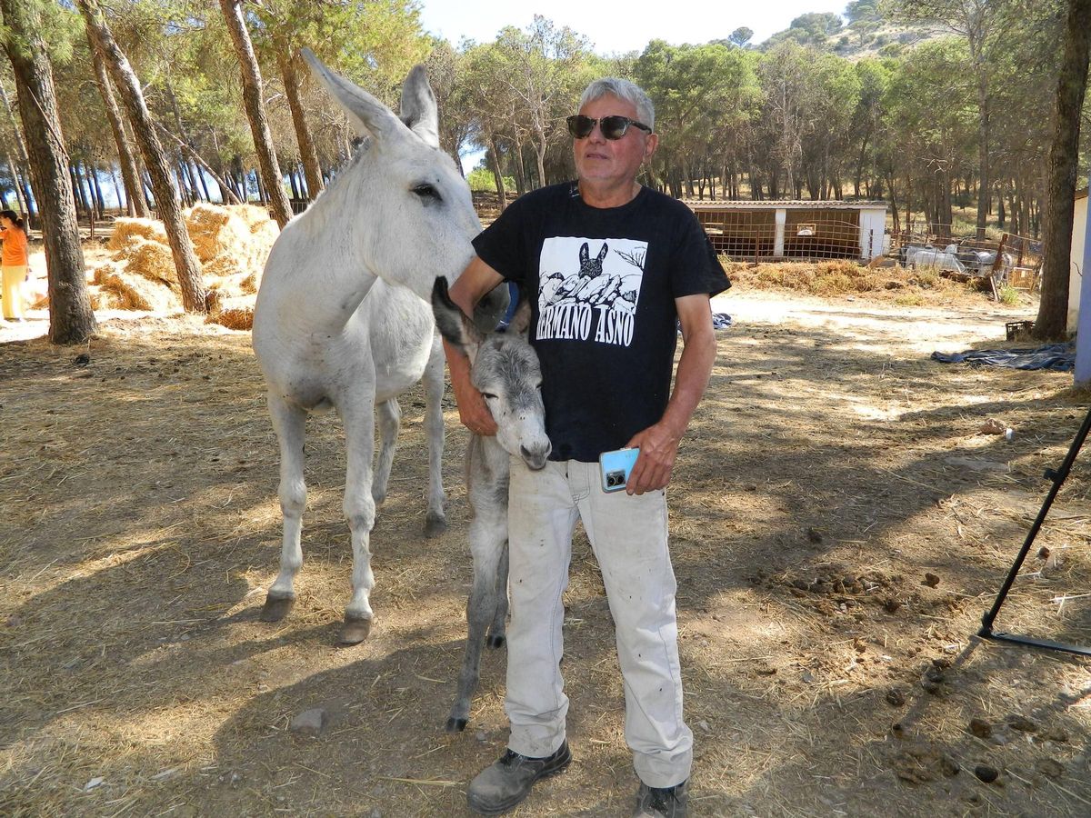 Una nueva cría de burro, en Adebo.