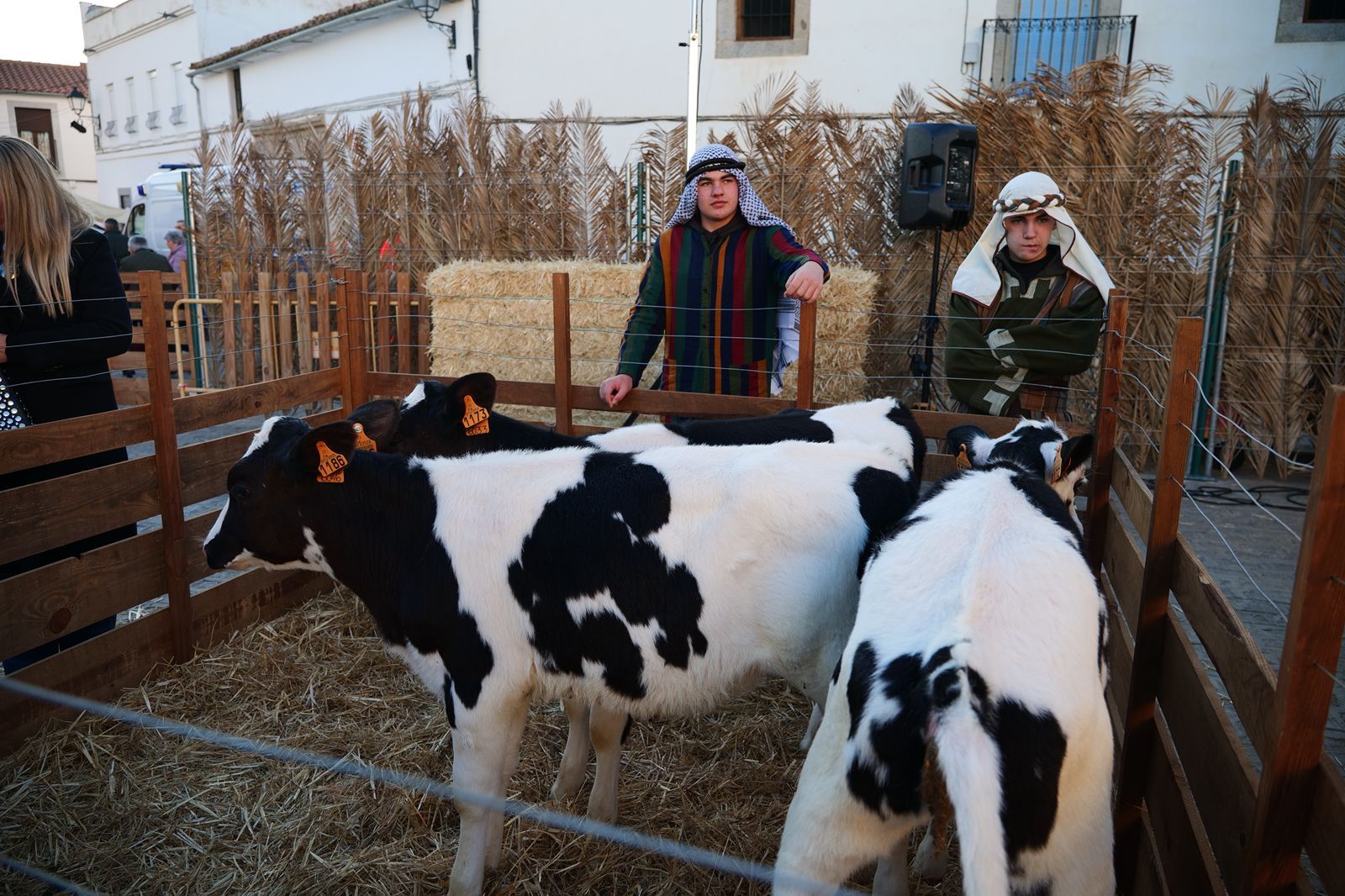El belén viviente de Torrecampo cobra vida