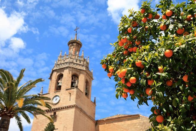 Ronda, Málaga