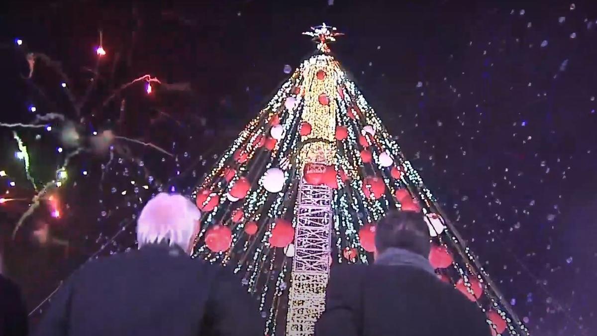 Richard Gere y José Ballesta miran el encendido del Gran Árbol de Murcia.