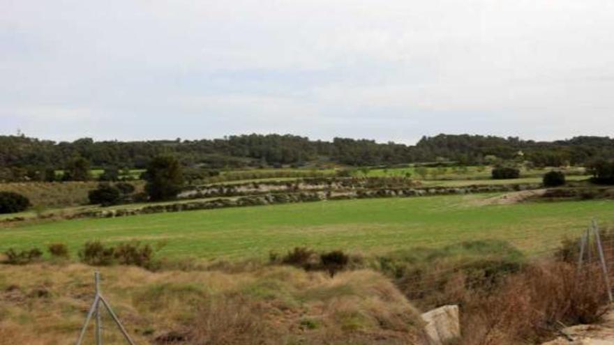 Imagen de los terrenos de La Española en la zona de La Canal de Alcoy.