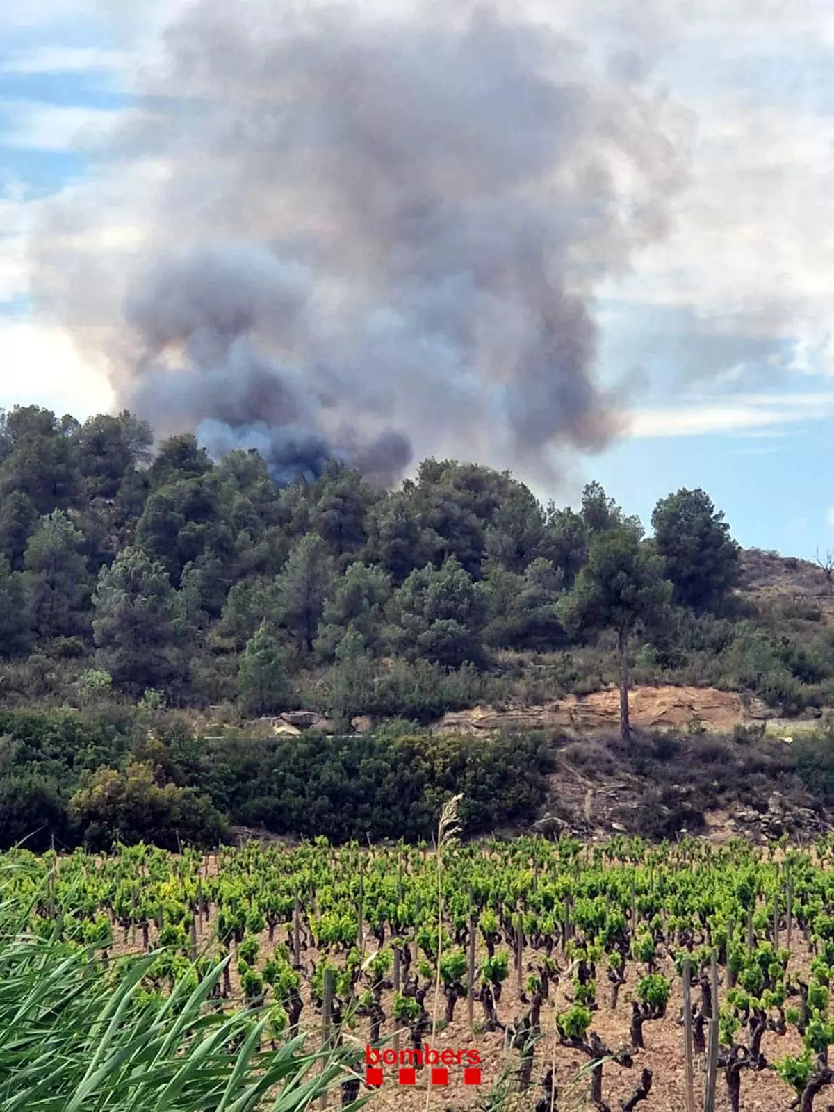 33 dotacions terrestres dels Bombers i 9 d'aèries treballen un incendi a Batea que afecta sobretot territori aragonès