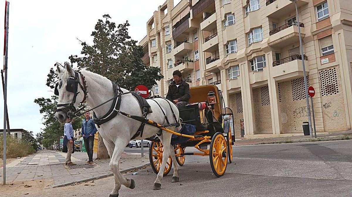 Un coche de caballo se dirige a las cuadras en 2017.