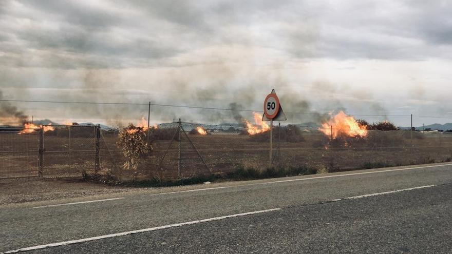 Ecologistas denuncia que las quemas no se han reducido durante el Estado de Alarma