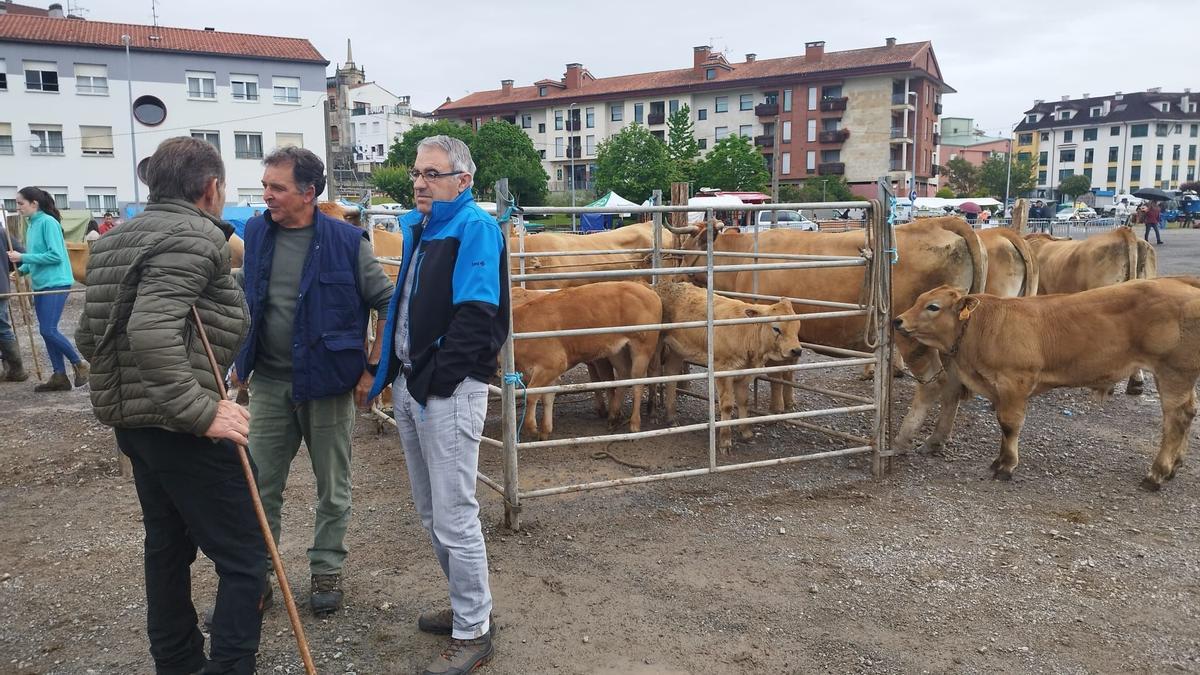 Participantes en la pasada última feria ganadera de primavera en Colunga.