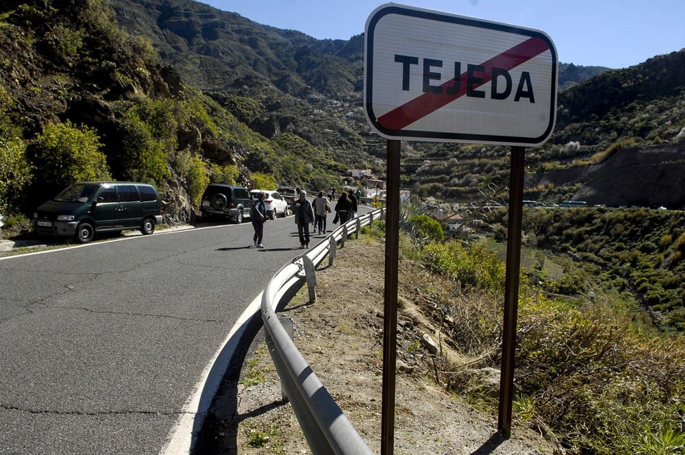 Fiesta del Almendro en Flor en Tejeda