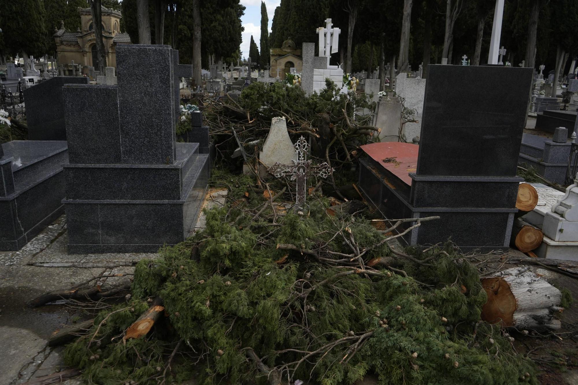 Los importantes daños del temporal en el Cementerio de Zamora