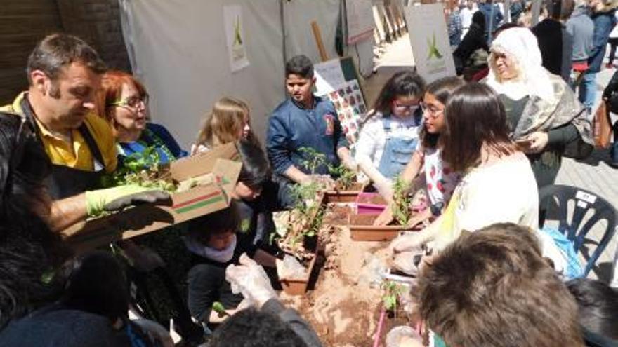 El taller «Planta el teu hort» va captar l&#039;atenció del públic infantil durant l&#039;Ecofira de Calaf