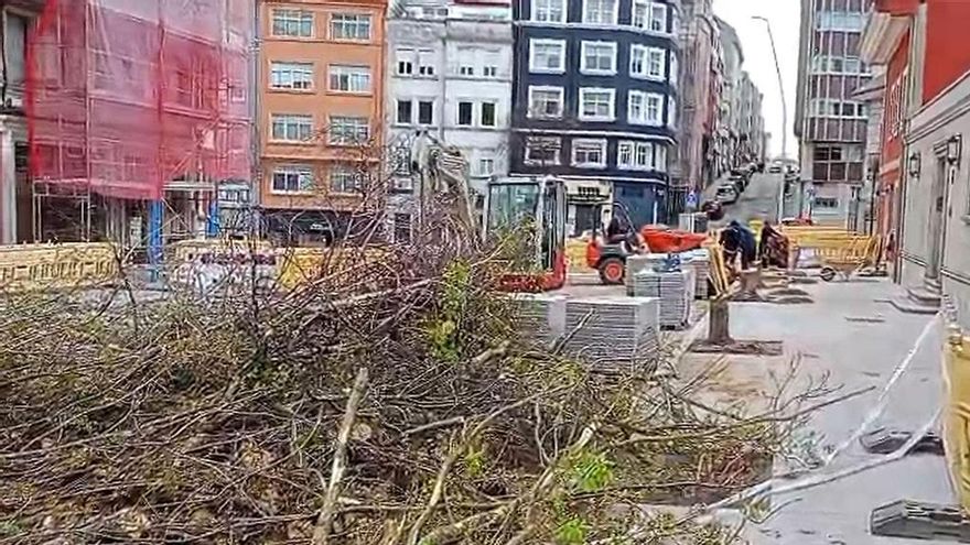 Tala de árboles en la calle Juan Castro Mosquera
