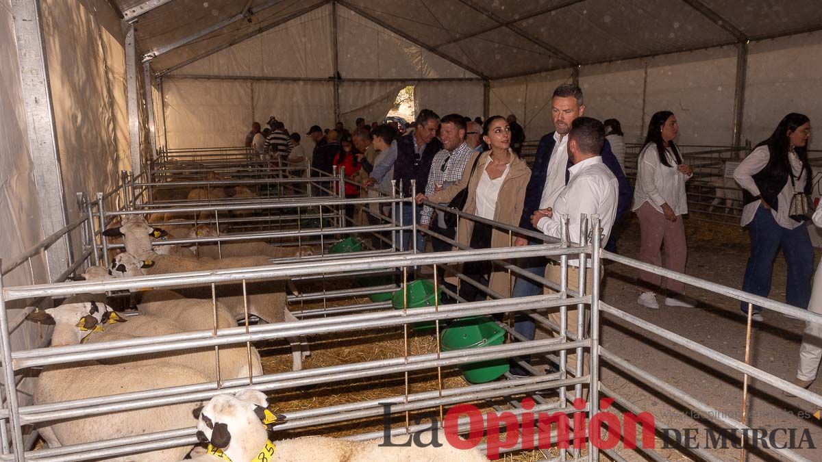 Así se ha vivido la Feria de Cordero Segureño en la pedanía caravaqueña de Archivel