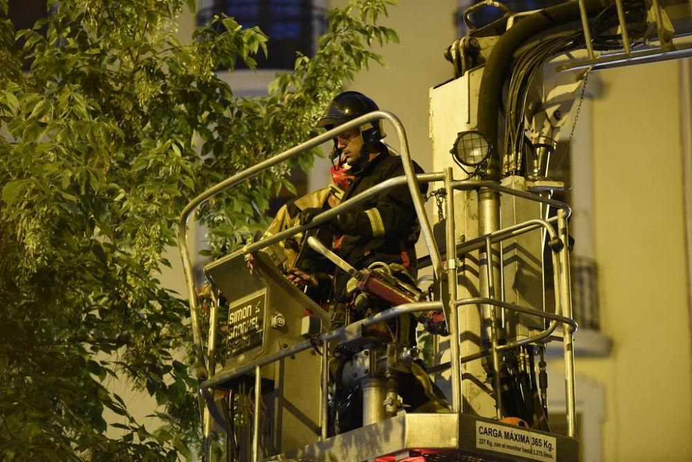 Se quiebra una rama del ficus de Santo Domingo