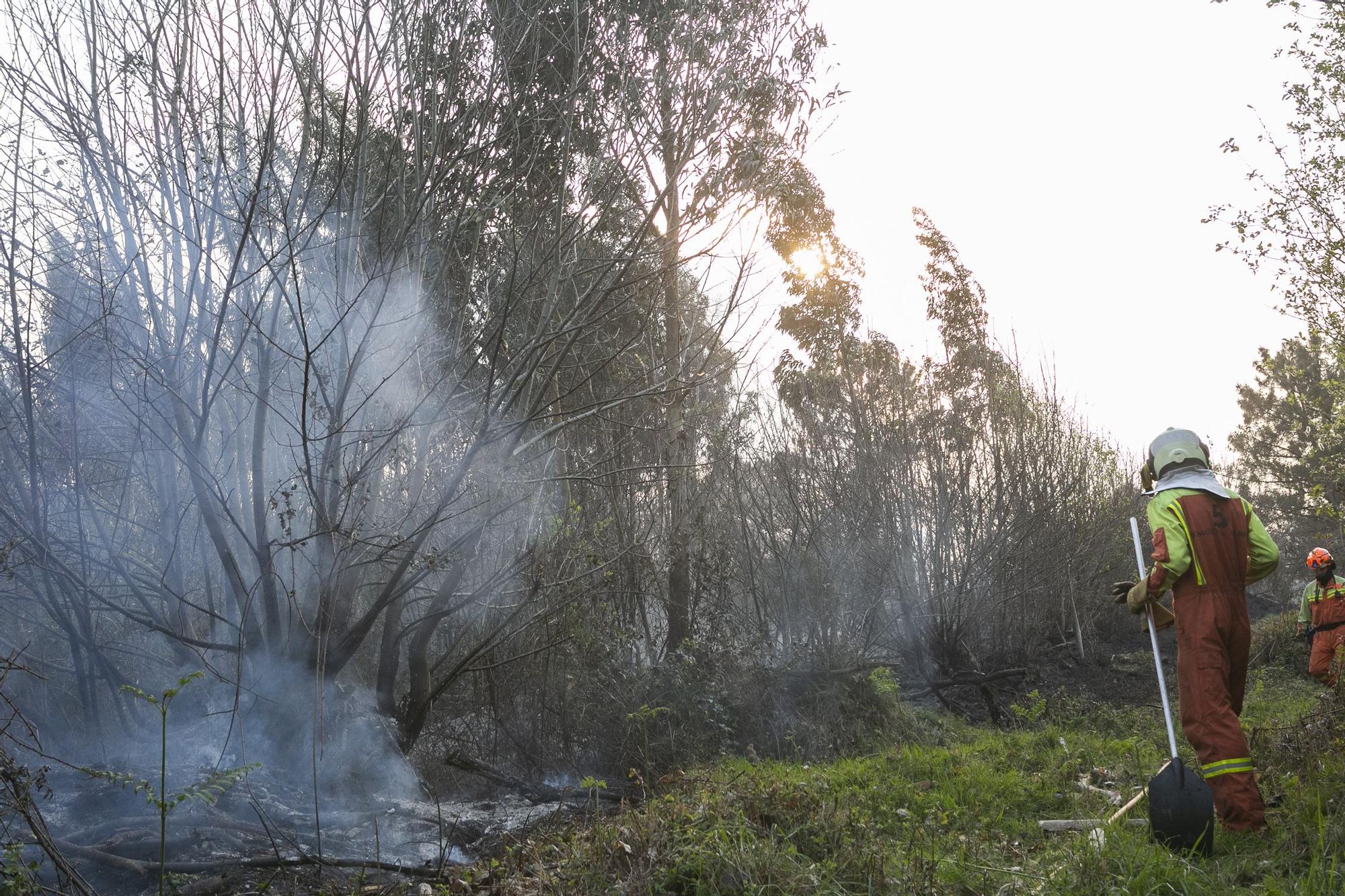 El fuego llega a la comarca de Avilés y se adentra en la Plata (Castrillón)