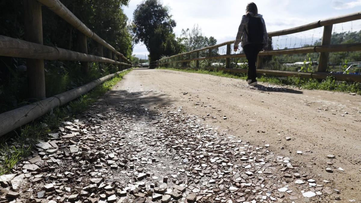 Una persona caminant per les hortes de Santa Eugènia.  | ANIOL RESCLOSA