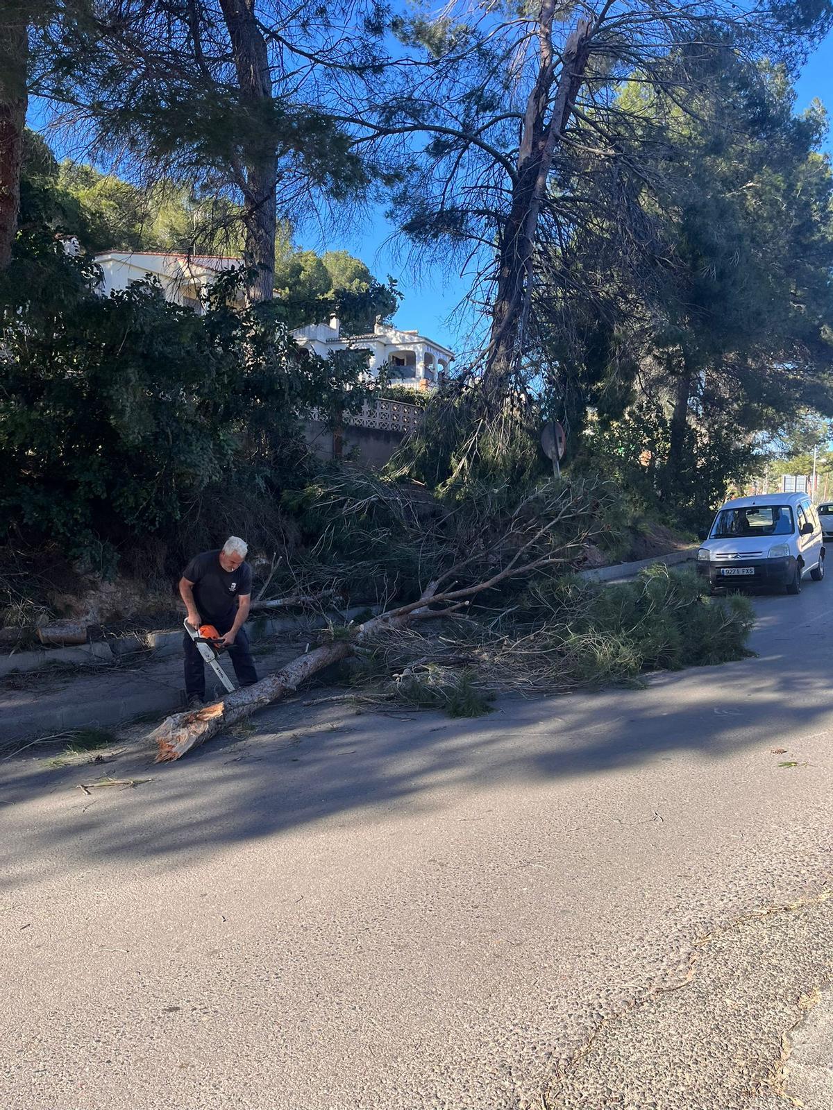 WhatsApp Image 2026-02-14 at 19.57.40 (1)