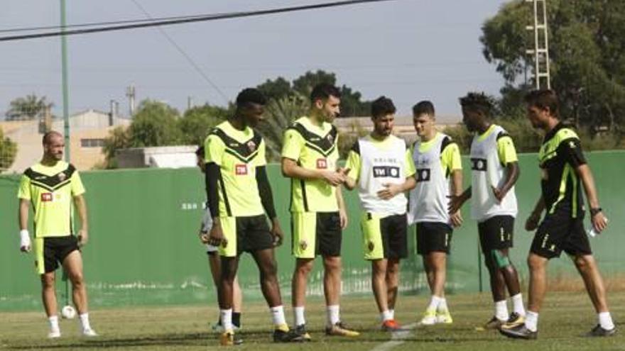 La plantilla del Elche, ayer, durante el entrenamiento en el campo anexo.