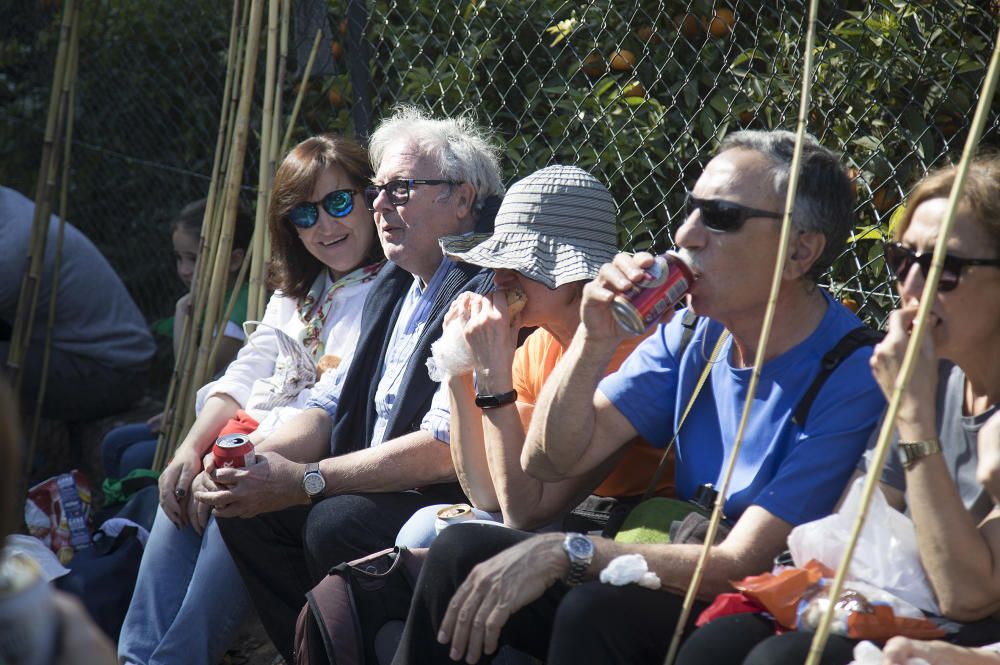 Magdalena 2019: Romeria de les canyes