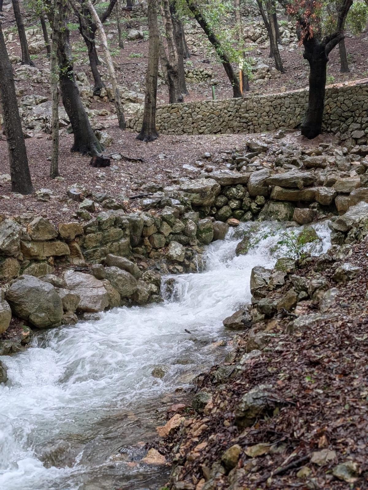 Ses Fonts Ufanes esta mañana. Ses Fonts Ufanes esta mañana.