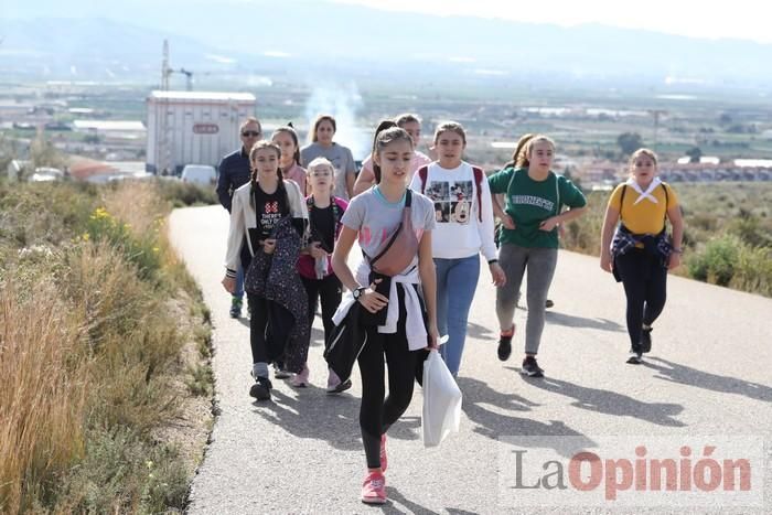 Romería de La Hoya (I)