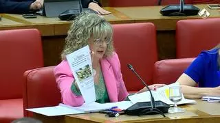 El caso de la médica que renunció por el AVE en Sanabria llega al Congreso de los Diputados