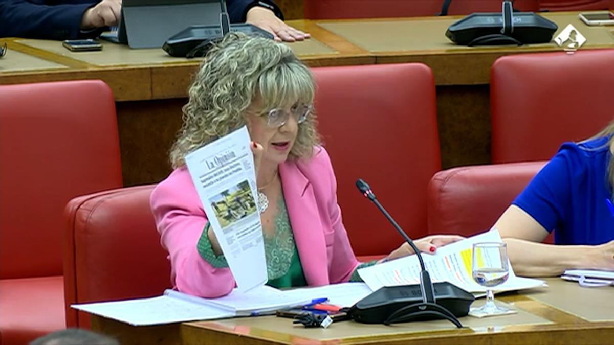 Elvira Velasco, en el Congreso de los Diputados