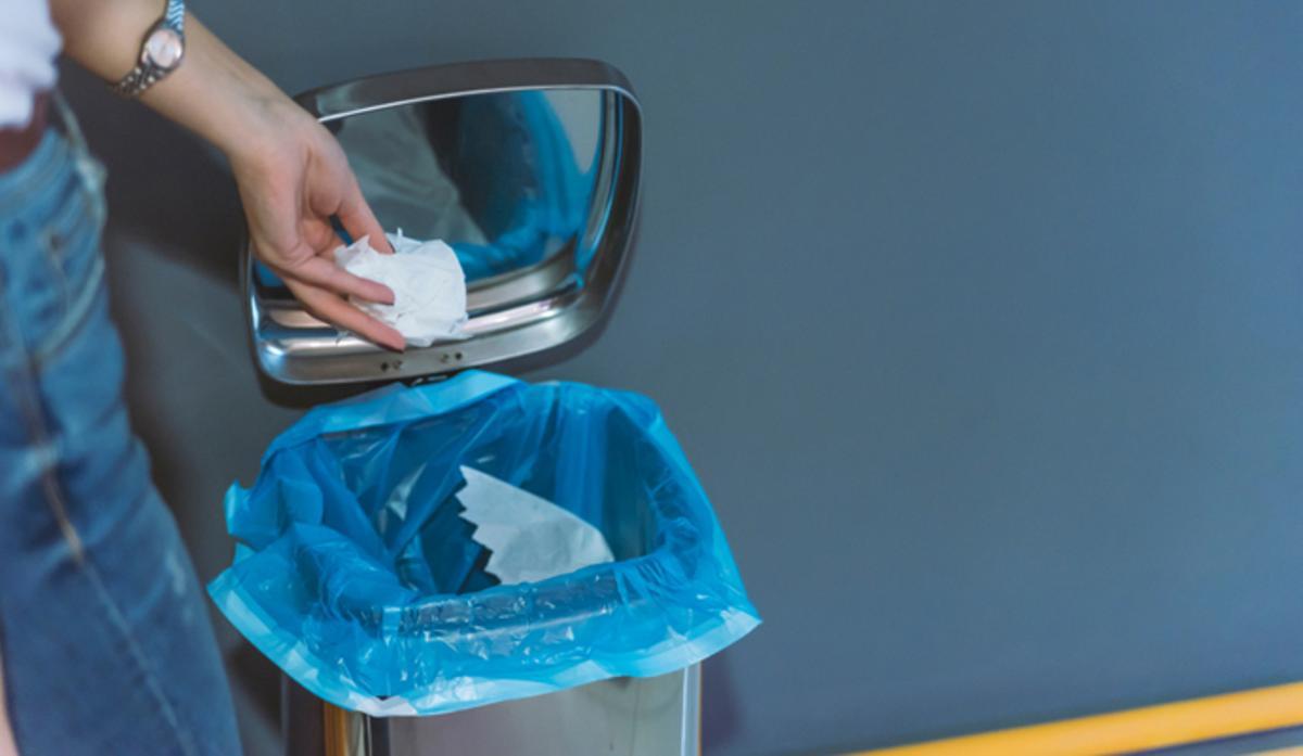 Cinco remedios caseros para acabar con las moscas en casa