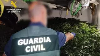 Alquilan por 2.000 euros al mes un chalé de Calp para cultivar en su sótano marihuana