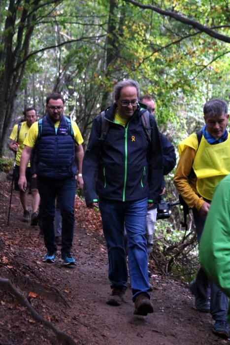 Torra pujant al Puigsacalm