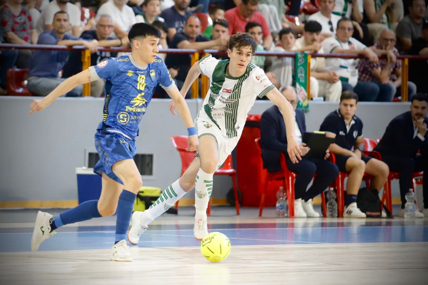 El Córdoba Futsal - Peñíscola en imágenes