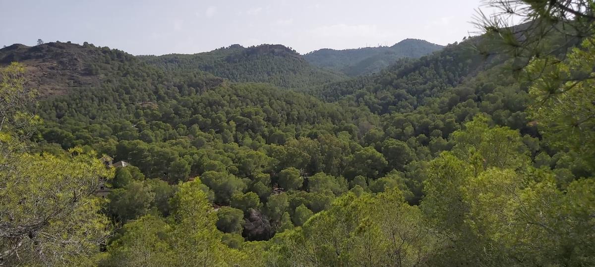 Imagen del Parque Regional de El Valle y Carrascoy
