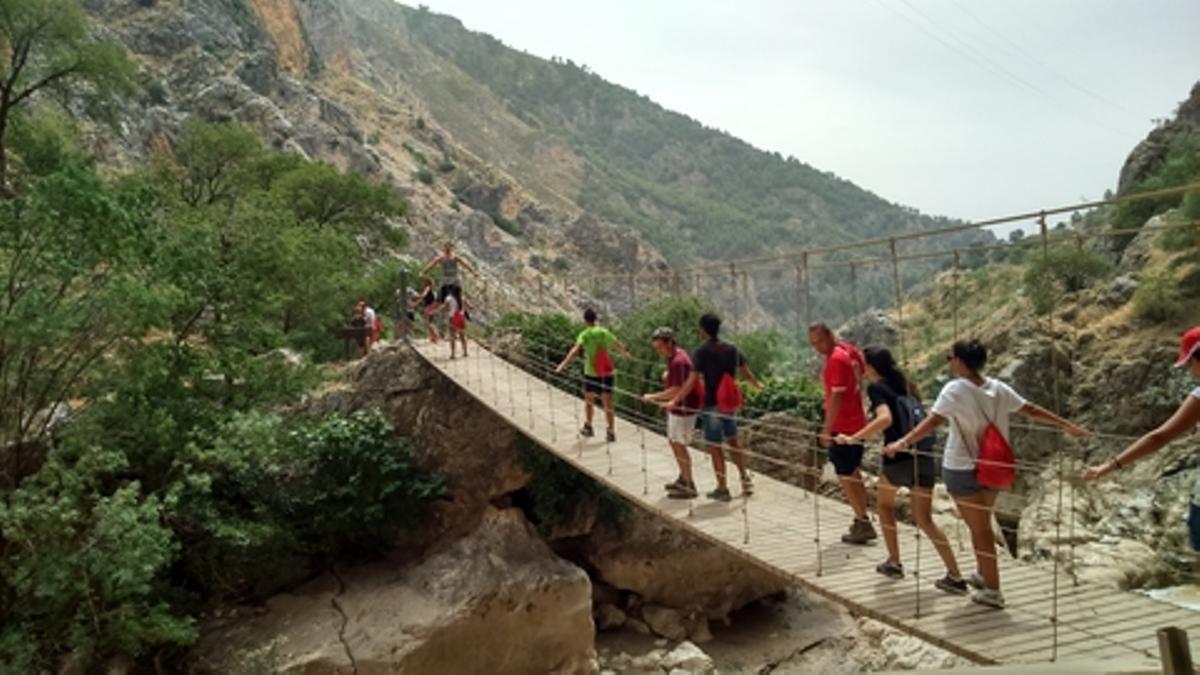 Las actividades de voluntariado se desarrollarán en los meses de verano.