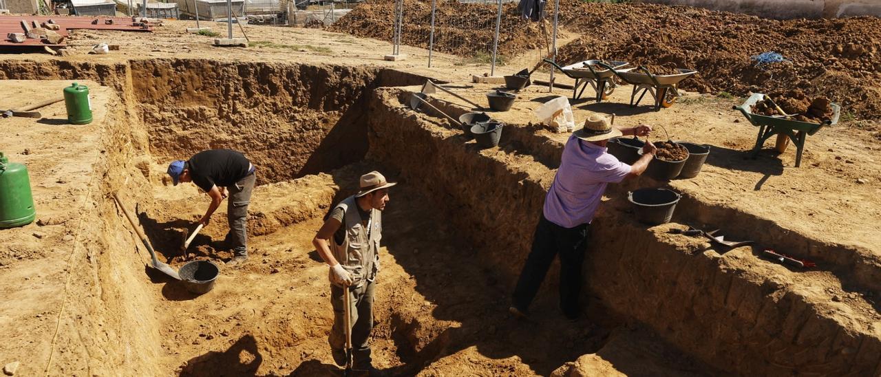 Excavación 8 Trabajos en el yacimiento de Casas del Turuñuelo en esta campaña.